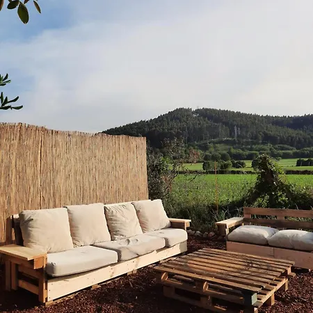 Blueberria - Entire House For Groups Or Families Barcena de Cicero