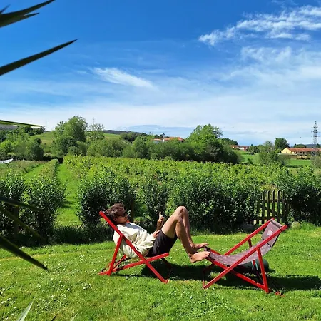 Ferienhaus Blueberria - Entire House Perfect For Groups Or Families Bárcena de Cicero