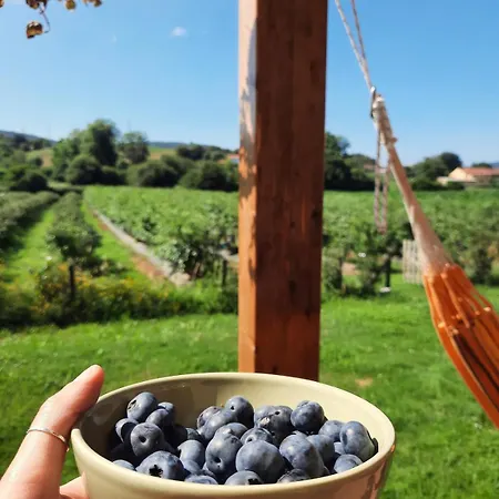 Blueberria - Entire House For Groups Or Families Hébergement de vacances