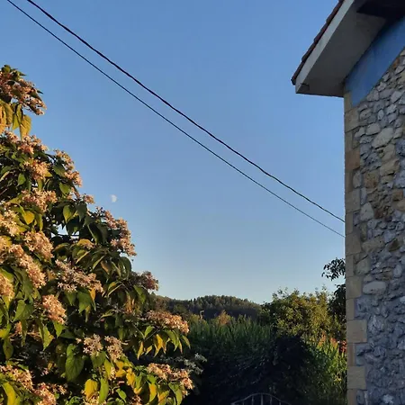 Hébergement de vacances Blueberria - Entire House For Groups Or Families