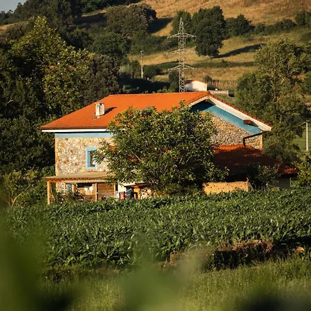 Holiday home Blueberria - Entire House For Groups Or Families