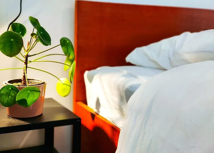 Feriehus Blueberria - Entire House Perfect For Groups Or Families