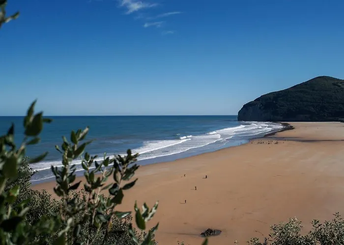 Blueberria - Entire House For Groups Or Families Prázdninový dům