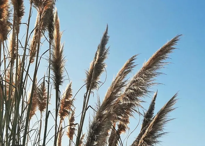 Feriehus Blueberria - Entire House Perfect For Groups Or Families Bárcena de Cicero