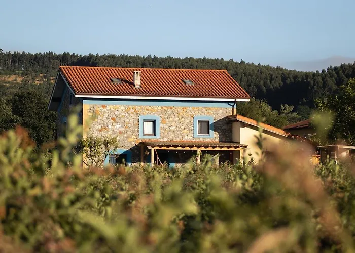 Blueberria - Entire House Perfect For Groups Or Families * Bárcena de Cicero