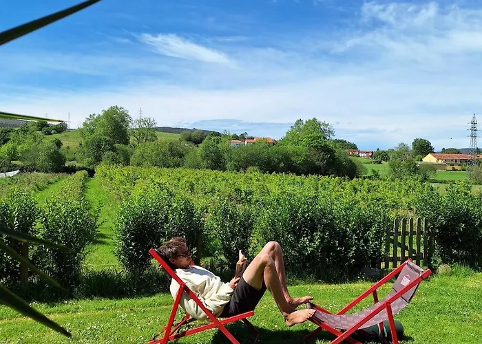 Feriehus Blueberria - Entire House Perfect For Groups Or Families Bárcena de Cicero