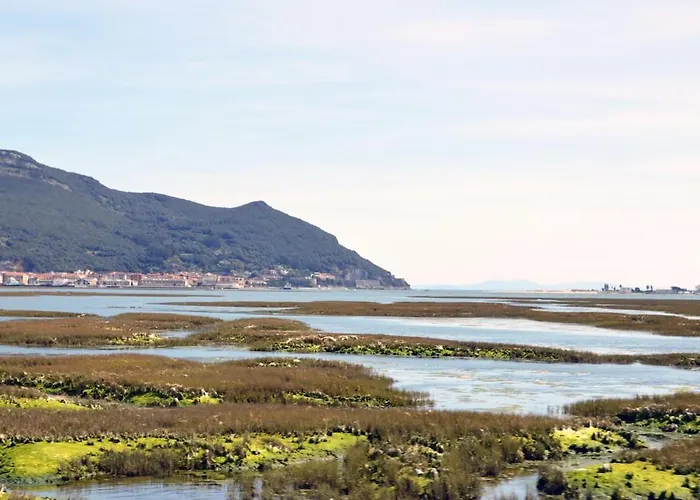 Blueberria - Entire House For Groups Or Families Prázdninový dům *