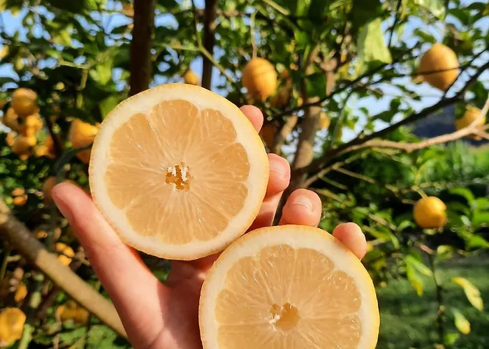 Blueberria - Entire House For Groups Or Families Bárcena de Cicero