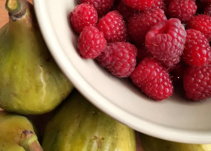 Blueberria - Entire House For Groups Or Families