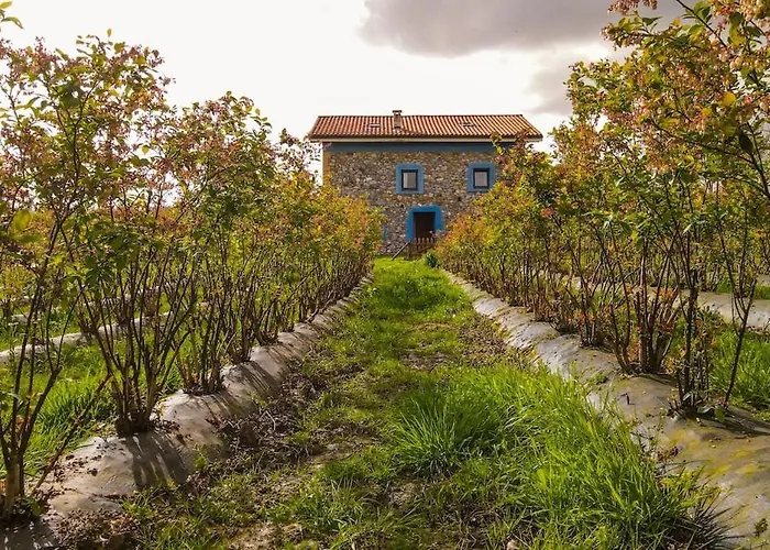 Blueberria - Entire House For Groups Or Families Prázdninový dům *