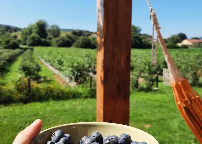 Blueberria - Entire House For Groups Or Families Prázdninový dům