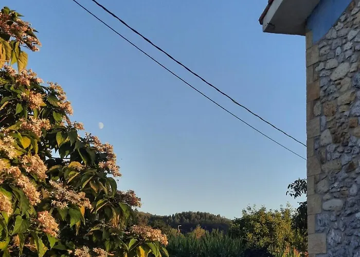 Feriehus Blueberria - Entire House Perfect For Groups Or Families