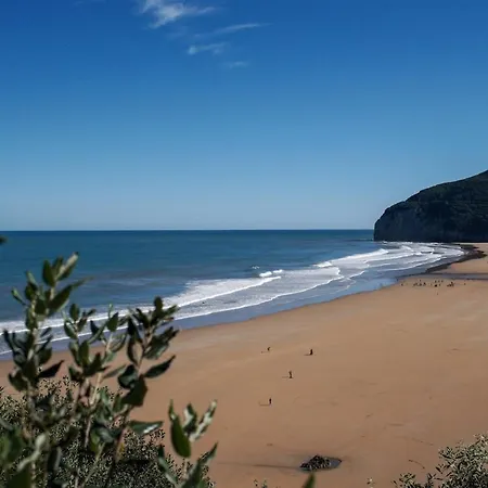 Blueberria - Entire House For Groups Or Families Dom wakacyjny