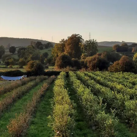 Dom wakacyjny Blueberria - Entire House For Groups Or Families