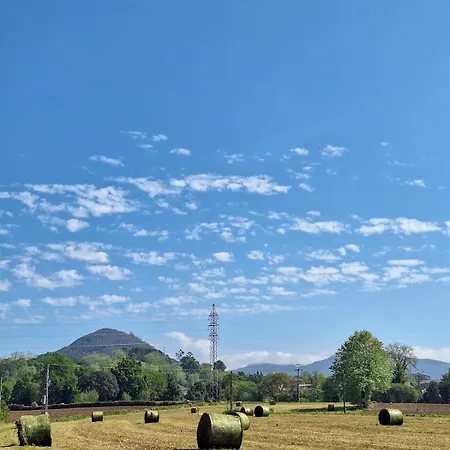 Blueberria - Entire House For Groups Or Families Dom wakacyjny *