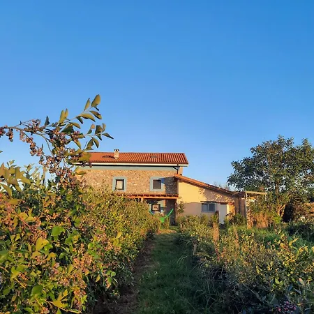 Blueberria - Entire House Perfect For Groups Or Families * Bárcena de Cicero