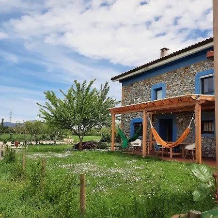Casa de Férias Blueberria - Entire House Perfect For Groups Or Families *