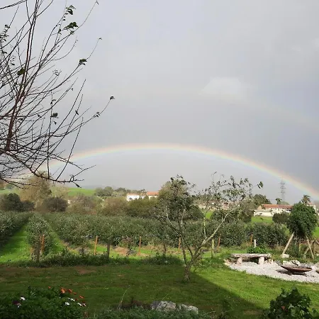 Blueberria - Entire House For Groups Or Families Dom wakacyjny Bárcena de Cicero