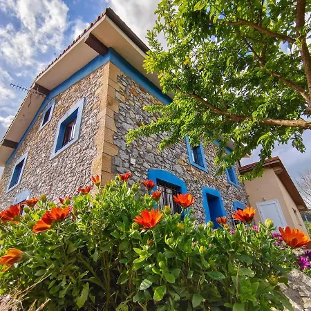 Dom wakacyjny Blueberria - Entire House For Groups Or Families